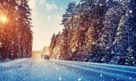 Driving home for Christmas? Plan more frequent EV charging pit stops   Venson provides electric vehicle owners with practical advice on keeping vehicles moving this winter